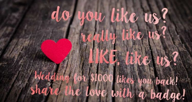 Share the Wedding for $1000 love!