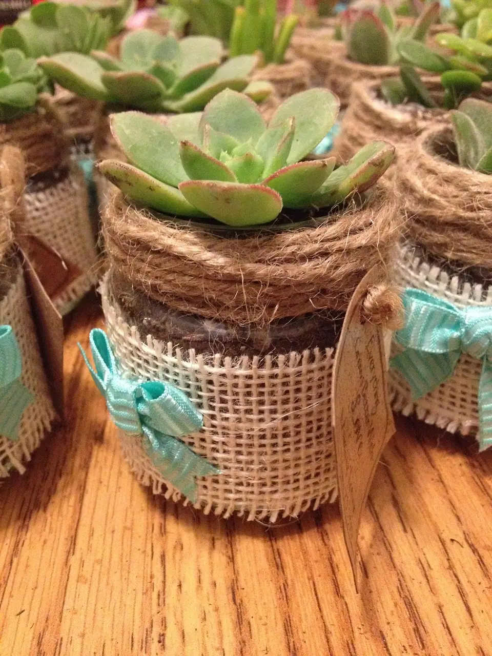 Wedding for $1000 - The Best Budget Wedding Favor Gifts Your Guests Will Want to Keep