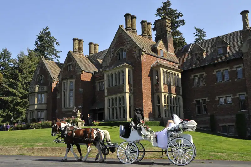 Fairy Tale Wedding - Horse Drawn Carriage