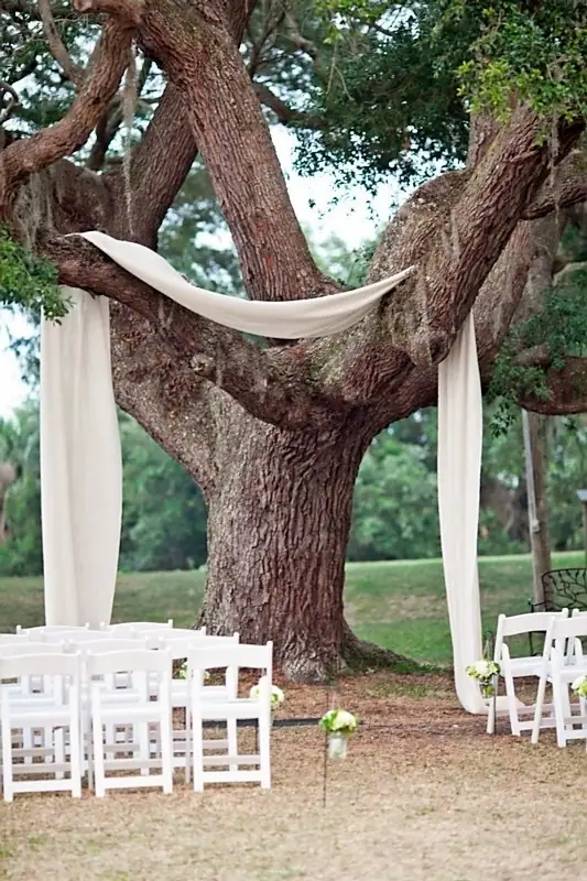 fabric draped over tree weddingfor1000.com