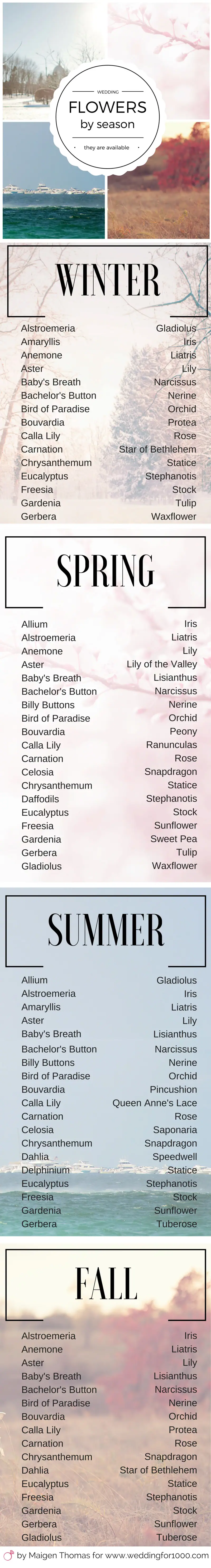 weddingfor1000.com flowers by season infographic