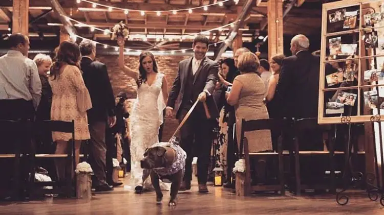 45 wedding industry experts share their top wedding planning tips - make the process faster, easier and more efficient! weddingfor1000.com