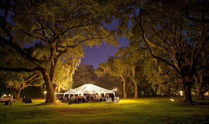 winter wedding uplighting