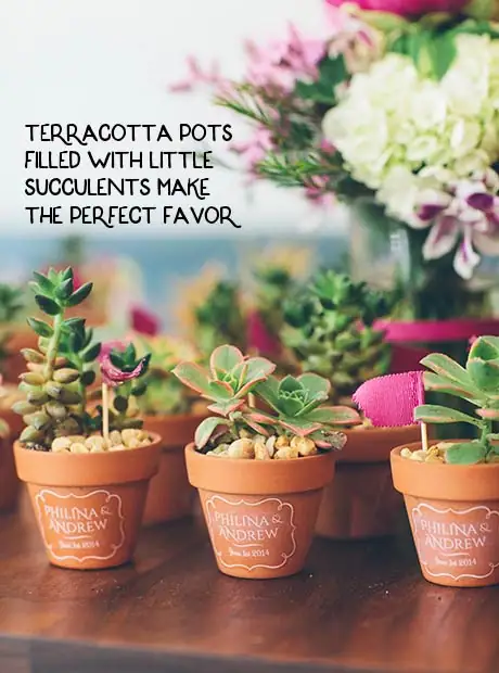 terracotta pots filled with little succulents make the perfect favor