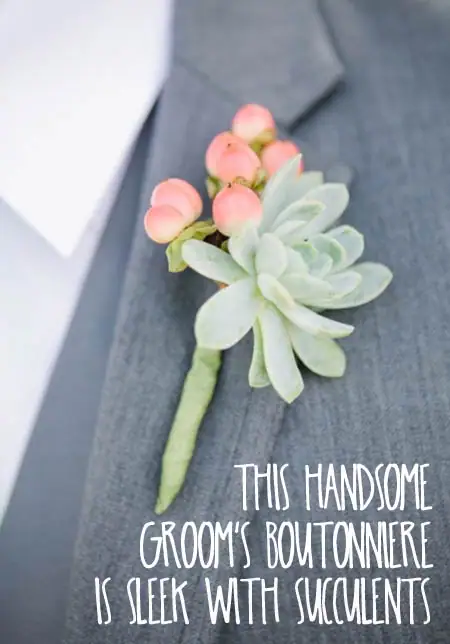 this handsome groom's boutonniere is sleek with succulents