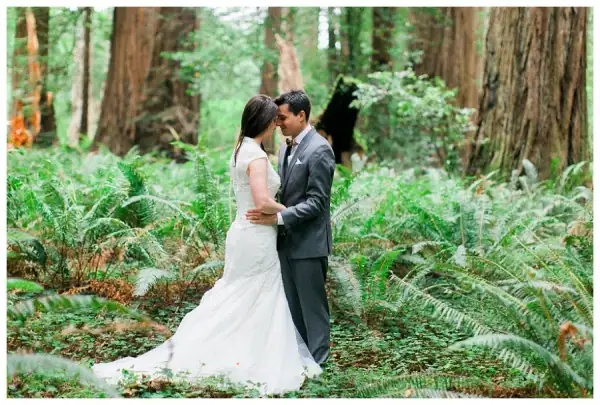 Into the Woods - Jedediah Smith Forest, California